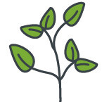 stilisert gren med blader for opplisting av PREFA-verdiene