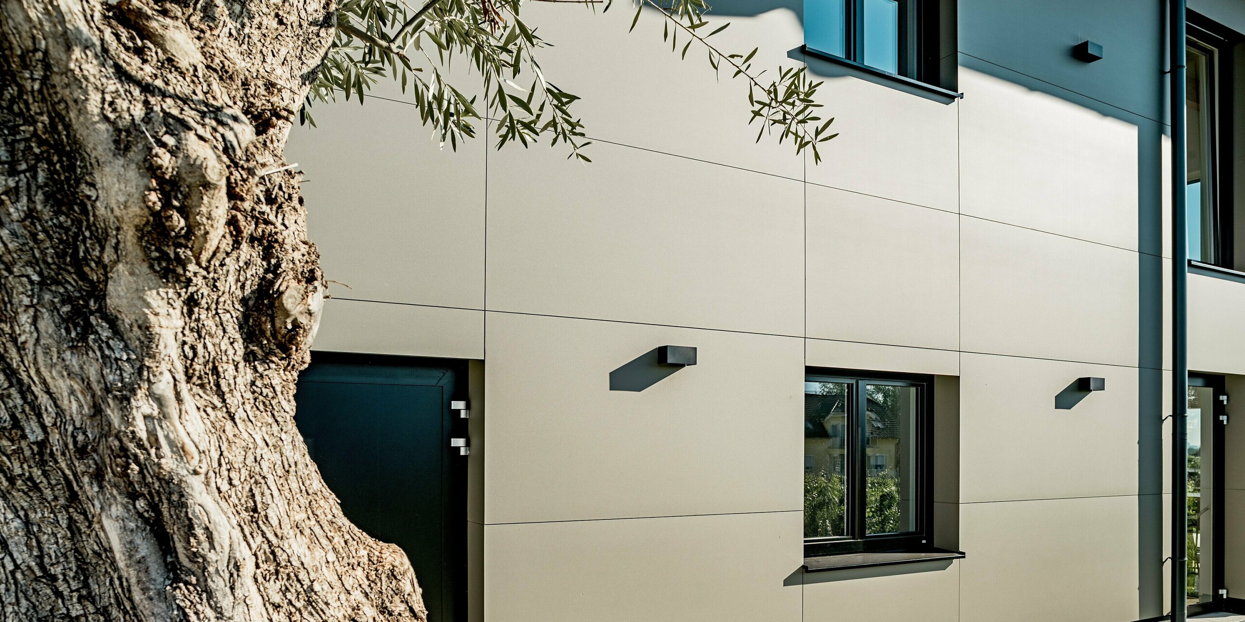 Nahaufnahme der Fassade des Weinguts Nigl in Perchtoldsdorf mit PREFA Aluminium Verbundplatten in P.10 Prefabronze. Die glatte, matte Oberfläche betont die hochwertige Verarbeitung und verleiht dem Gebäude eine moderne, zurückhaltende Eleganz. Klar definierte Fugenlinien sorgen für eine strukturierte Optik. Im Vordergrund steht ein alter Olivenbaum, dessen natürliche Maserung einen reizvollen Kontrast zur präzisen Linienführung der Fassade bildet. Schwarze Fensterrahmen und reduzierte Außenleuchten runden das minimalistische Design ab. Die PREFA Fassadenplatten sind witterungsbeständig, wartungsarm und besonders langlebig – ideal für zeitlose Architektur mit Stil.