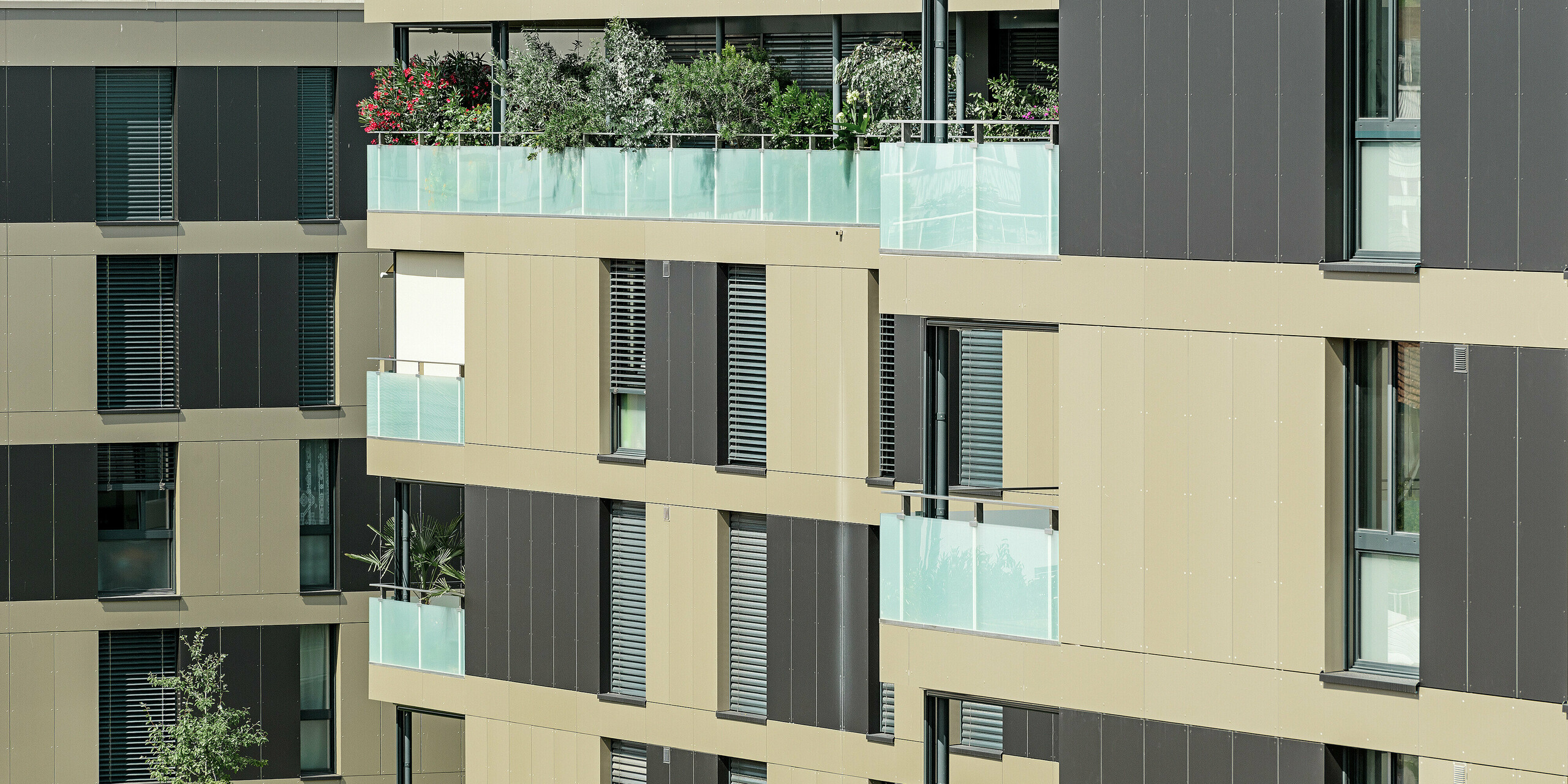 Die PREFA Aluminium Verbundplatten in Bronze und Schwarzgrau verschönern die moderne Wohnanlage in Murten (CH). Durch ihre hohe Widerstandsfähigkeit gegenüber extremen Wetterbedingungen und ihre minimalistische Eleganz bieten sie eine perfekte Lösung für eine langfristig pflegeleichte und stilvolle Fassade.