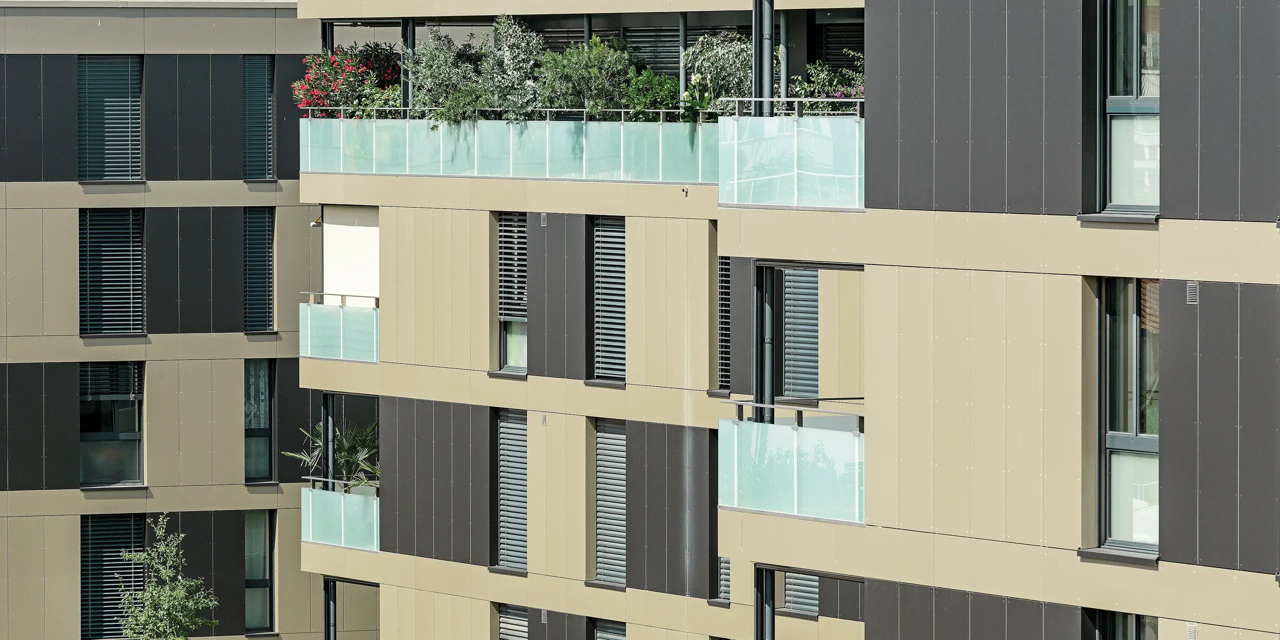 Die PREFA Aluminium Verbundplatten in Bronze und Schwarzgrau verschönern die moderne Wohnanlage in Murten (CH). Durch ihre hohe Widerstandsfähigkeit gegenüber extremen Wetterbedingungen und ihre minimalistische Eleganz bieten sie eine perfekte Lösung für eine langfristig pflegeleichte und stilvolle Fassade.
